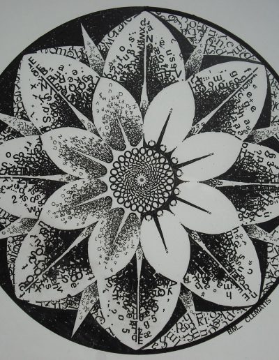Clematis