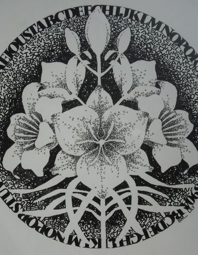 Lily