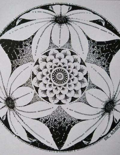Rudbeckia